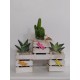 COMPOSICIÓN DE CACTUS EN MADERA