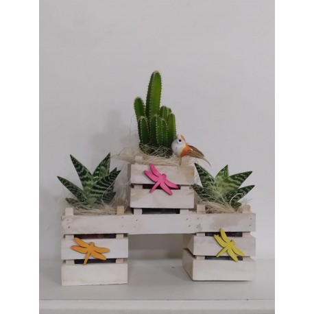 COMPOSICIÓN DE CACTUS EN MADERA